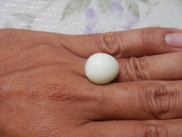 Ini Bukan Telur Plastik/Sintetis atau Gemstone ya :D