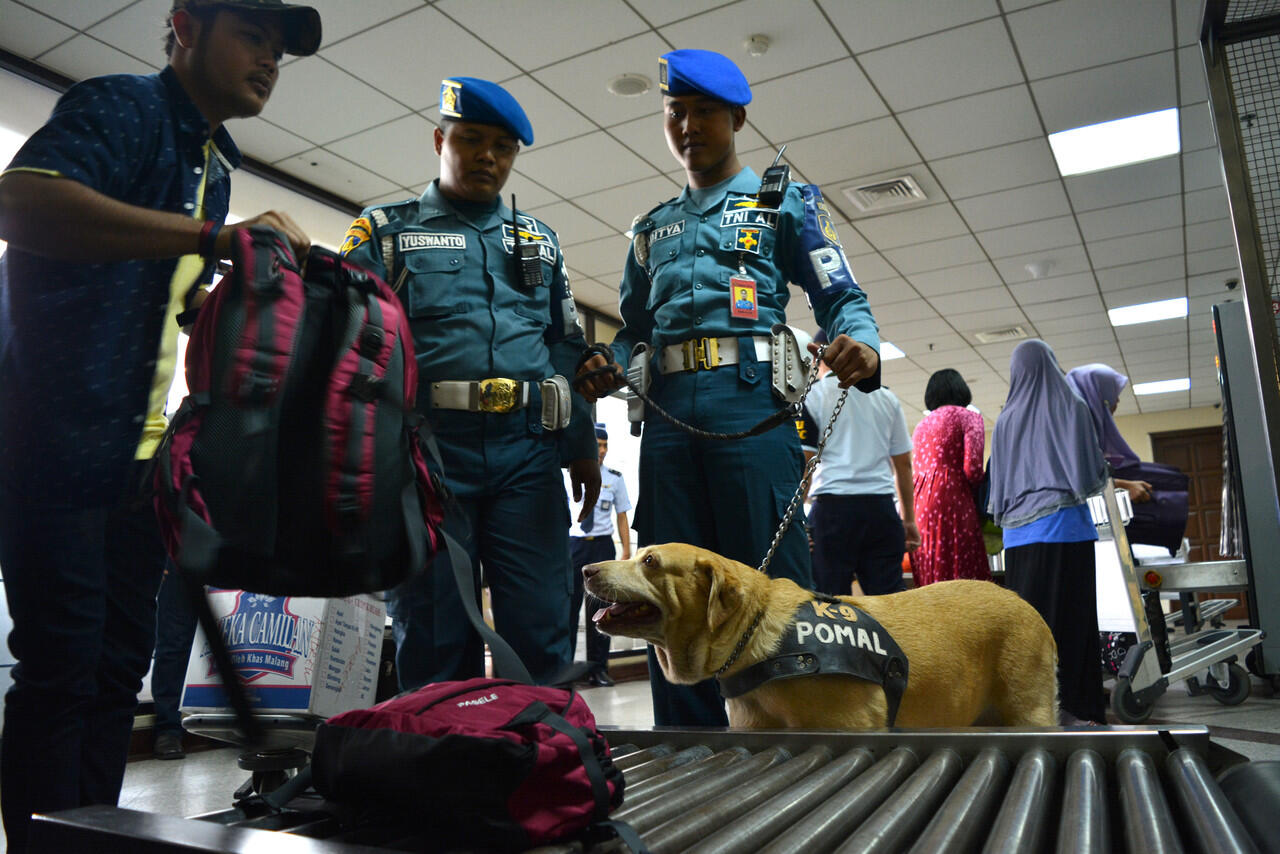 Jangan Lakukan Ini Di Bandar, Meskipun Mereka Memohon