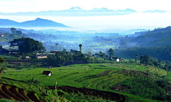 KENAPA NEGERI INI HARUS BERHUTANG?