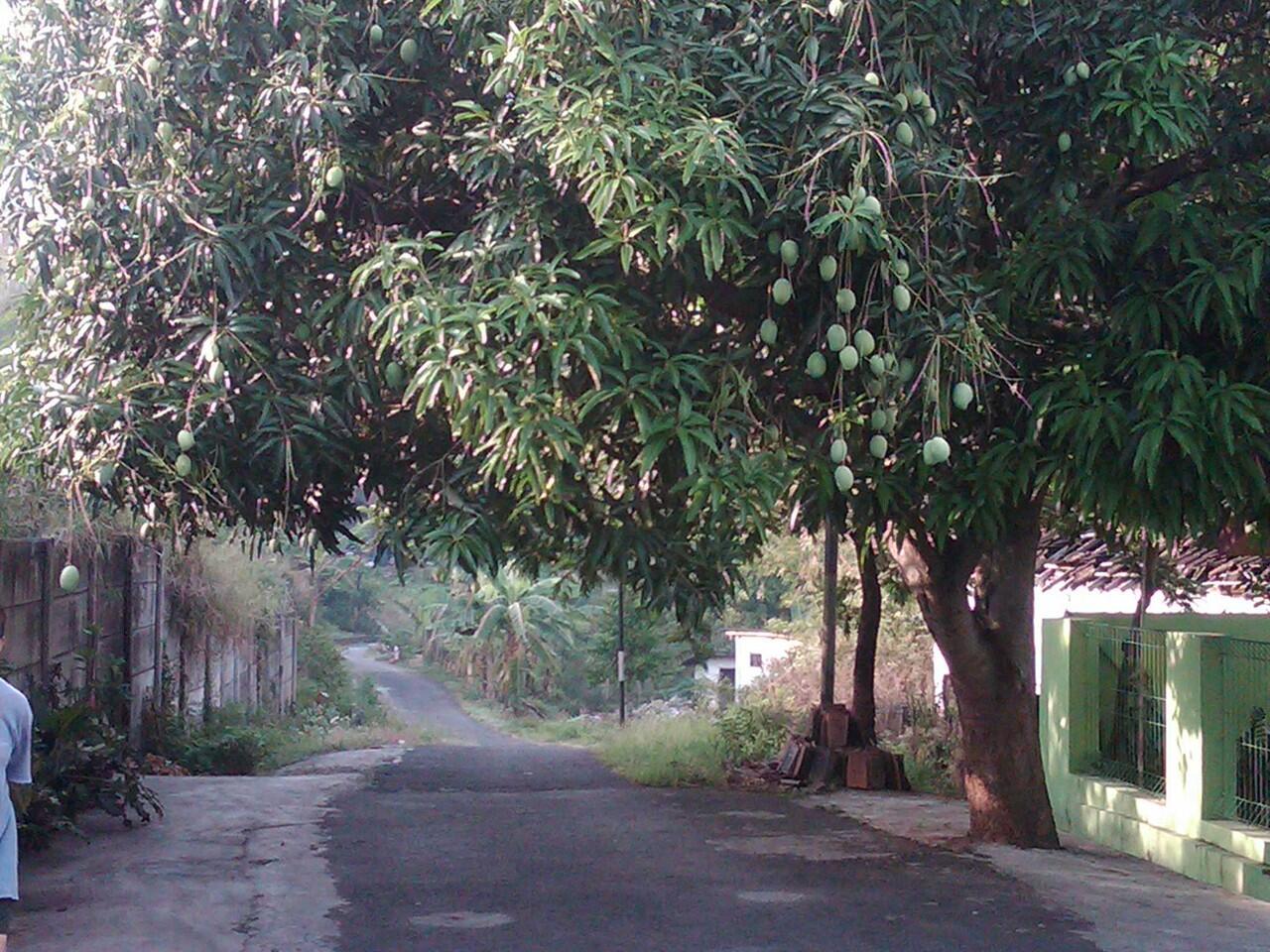 KEKONYOLAN MASA SMA,AGAN &amp; SISTA PERNAH MELAKUKANYA?