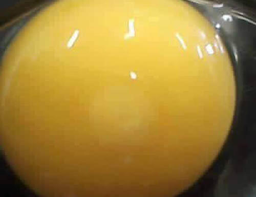 7 Foto Menakjubkan Tentang Proses Kehidupan dalam Telur Ayam