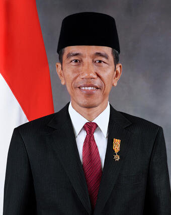 &#91;DISKUSI&#93; Agan mau jadi Presiden? Begini caranya