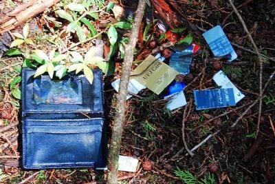 &#91; GATSUONE INFO &#93; 10 Fakta Tentang Hutan Aokigahara, The Perfect Place To Die