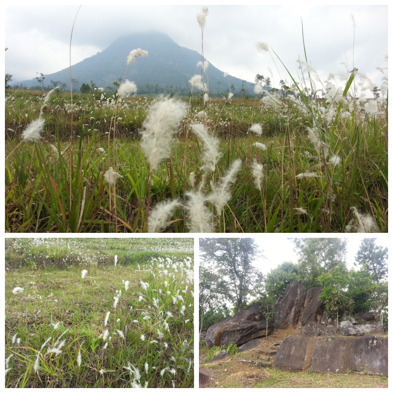 Coban Rais Bukanlah Hidden Paradise Di Malang