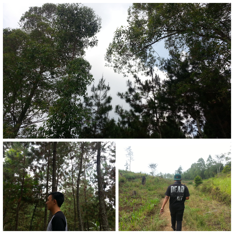 Coban Rais Bukanlah Hidden Paradise Di Malang