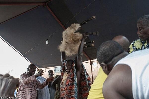 Foto-foto Festival Voodoo di Benin, Afrika Barat