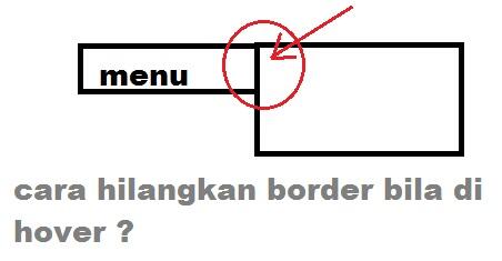 &#91;ask&#93; cara menghilangkan border setelah di hover.
