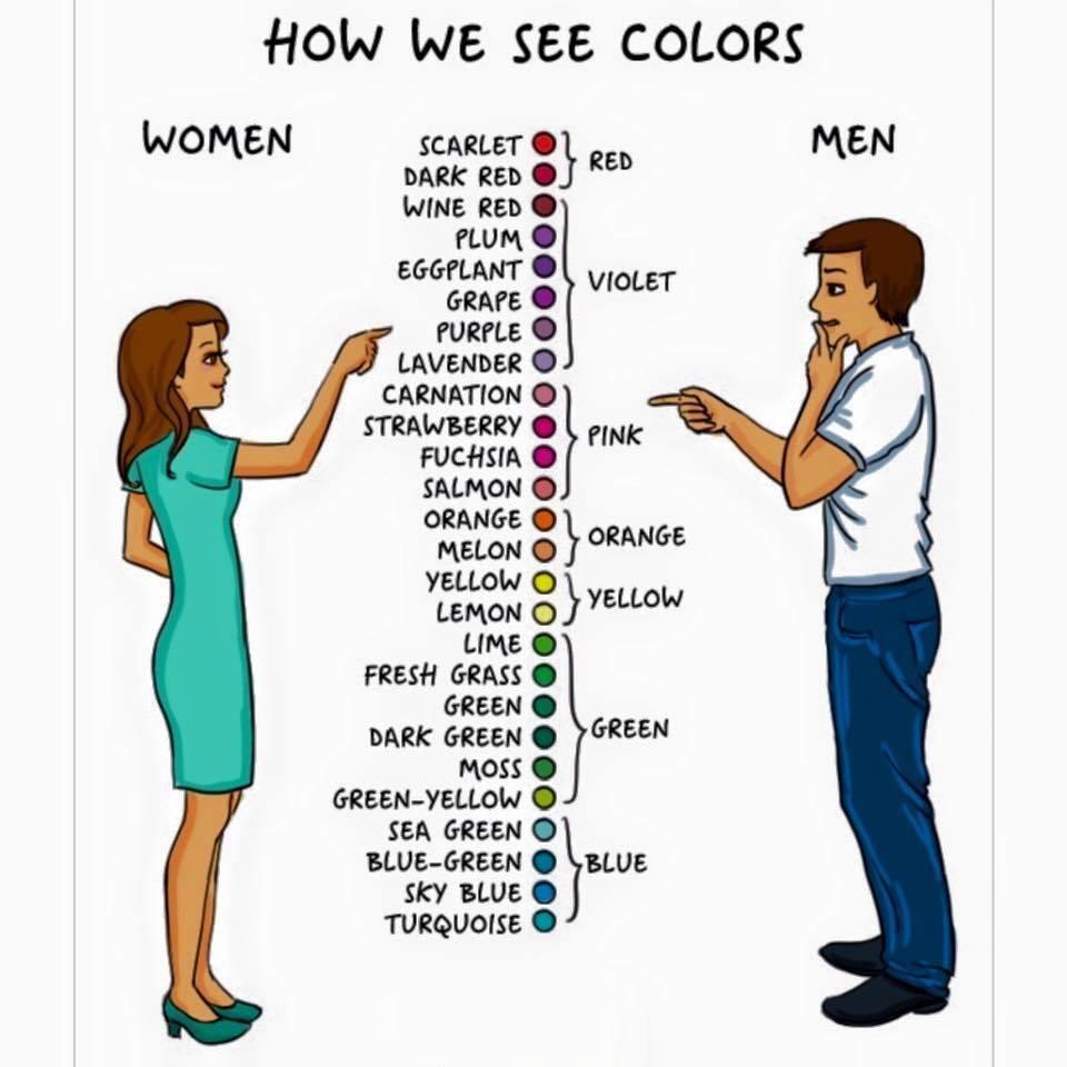 Women VS Men 