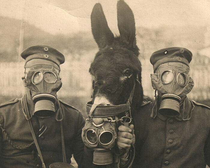 Sejarah Gas Mask Lengkap Mulustrasi!