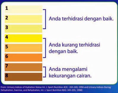 &#91;Info kesehatan&#93; warna feses dan urine menggambarkan kesehatan agan