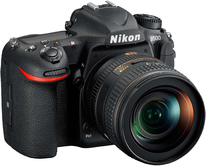 Nikon DSLR D500, DSLR Format DX