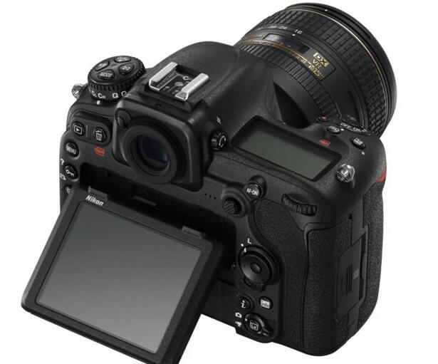 Nikon DSLR D500, DSLR Format DX