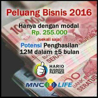 peluang bisnis terbaik 2016