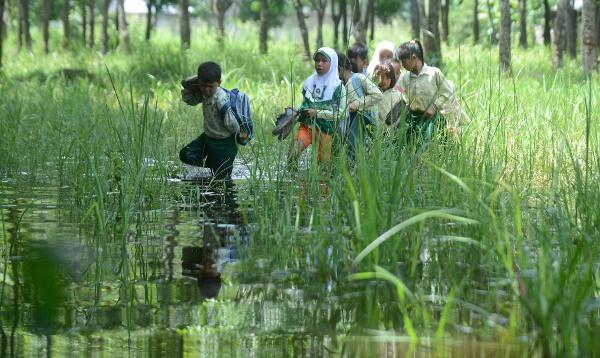 SEDIH! Siswa ke Sekolah Lewat Rawa karena Jalan Ditutup Perusahaan