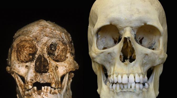 5 Misteri Besar dari Indonesia ini Sampai Sekarang Gak Bisa Terpecahkan