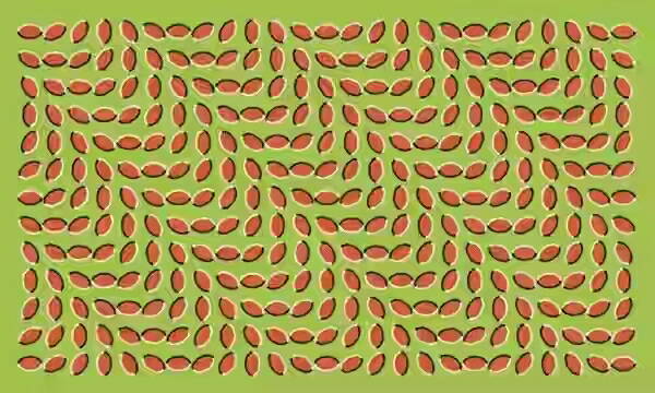 yuk bermain ilusi lewat 7 gambar yg bisa mempermainkan mata kita