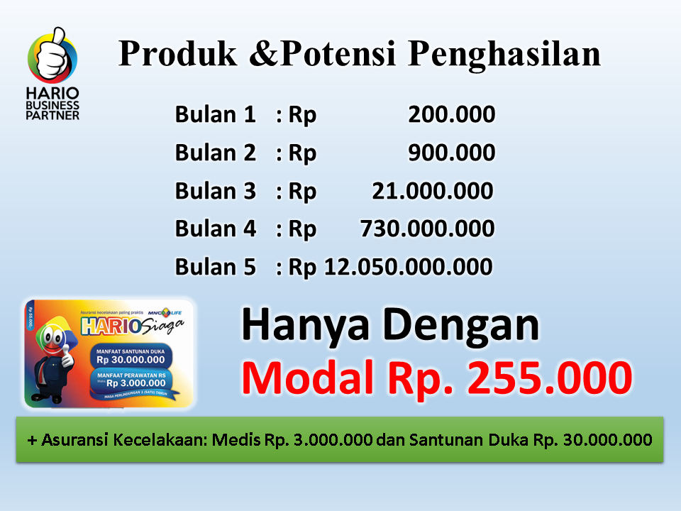 MLM Asuransi Dahsyat