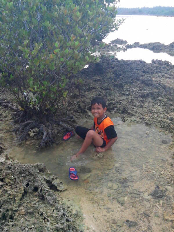 Pantai Perawan Wanasalam Banten Selatan