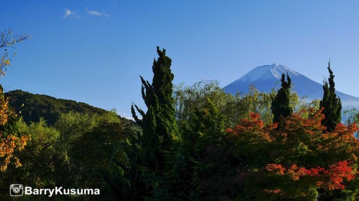 Music Forest, Musium yang unik & Indah di Yamanashi Jepang.