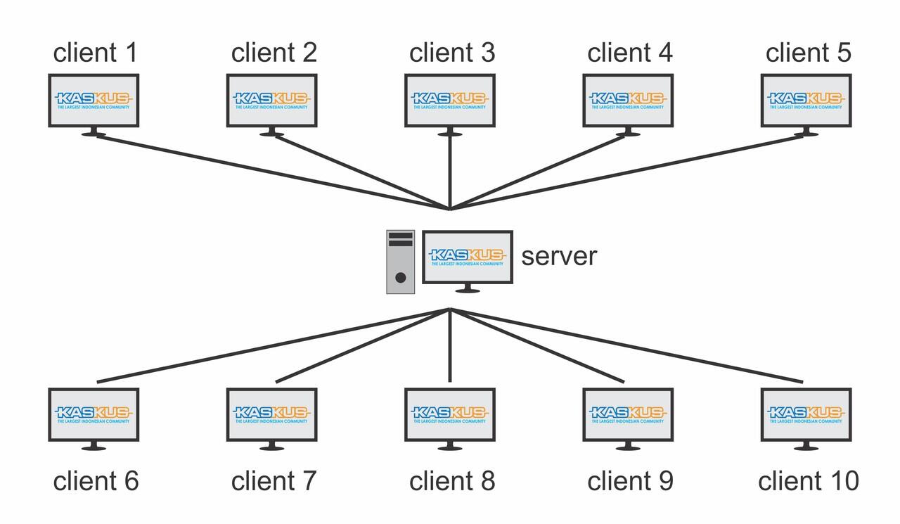 Display users