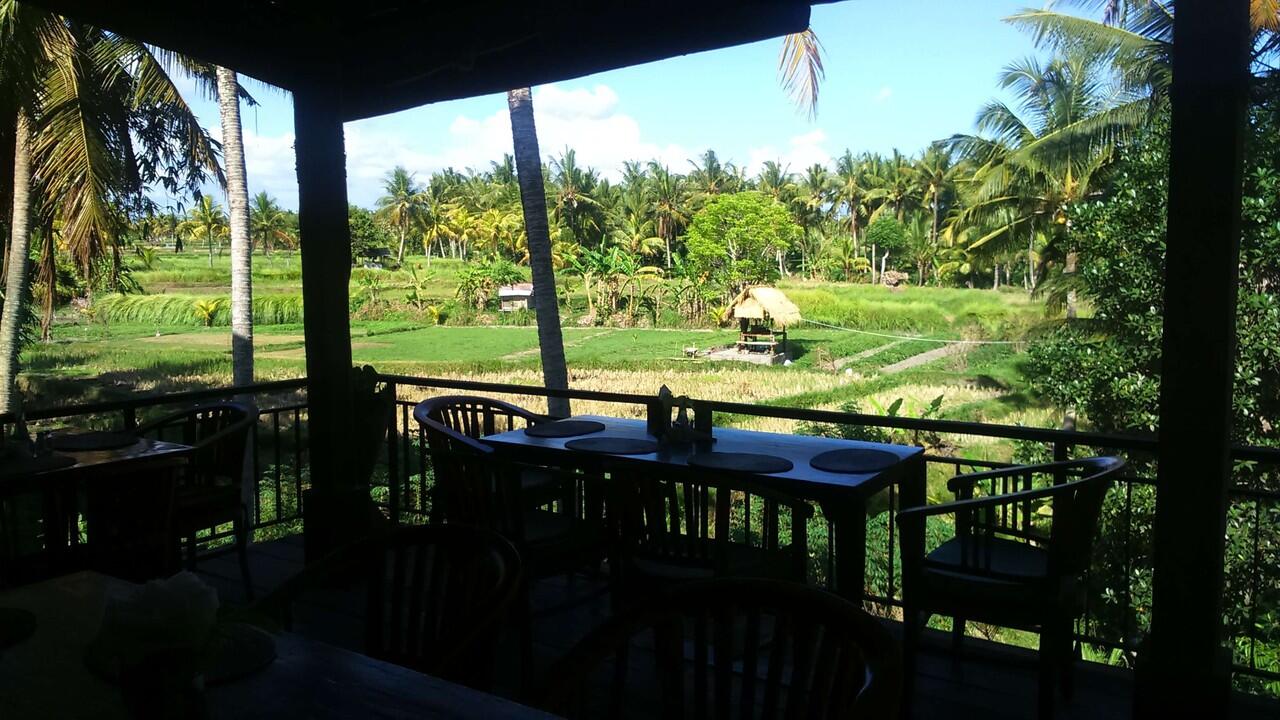 Discount 30% rumah makan bebek di Ubud, Bali