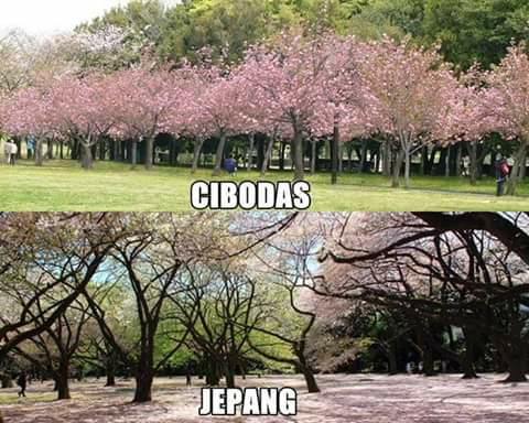 Gara-gara tempat ini. kita tidak perlu KELILING DUNIA