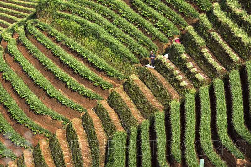 Surganya Fotografi Landscape di Argapura, Majalengka