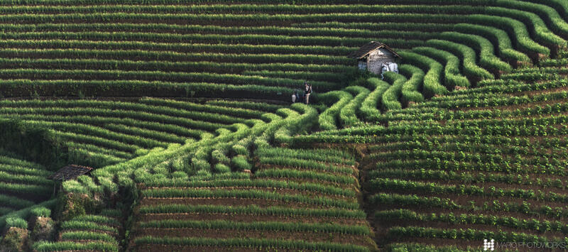 Surganya Fotografi Landscape di Argapura, Majalengka