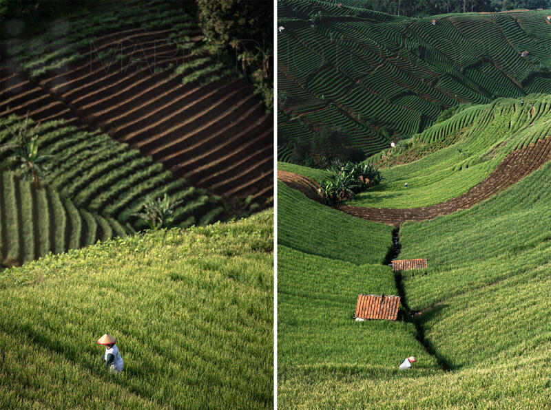 Surganya Fotografi Landscape di Argapura, Majalengka