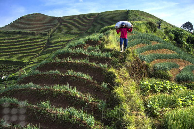 Surganya Fotografi Landscape di Argapura, Majalengka