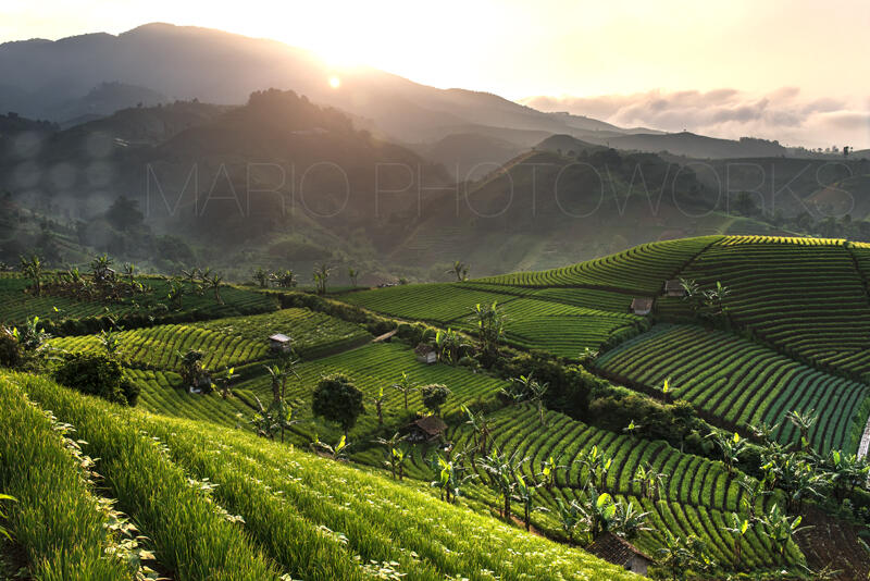 Surganya Fotografi Landscape di Argapura, Majalengka