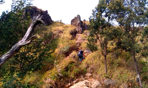 APA YANG KITA LIHAT KETIKA ADA DI GUNUNG2 JATENG