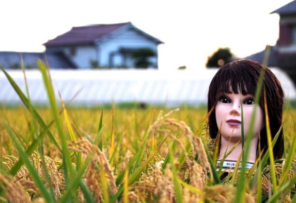 Lihat Orang Orangan Sawah Ini Gan.. (takut gak)