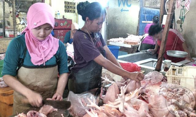Pasokan Pakan Susah, Harga Daging Ayam Naik tak Wajar