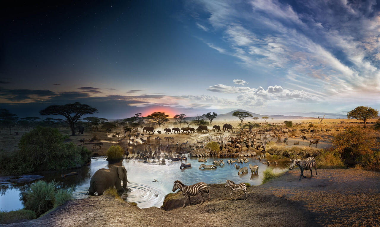 PHOTO INSPIRATION : DAY TO NIGHT