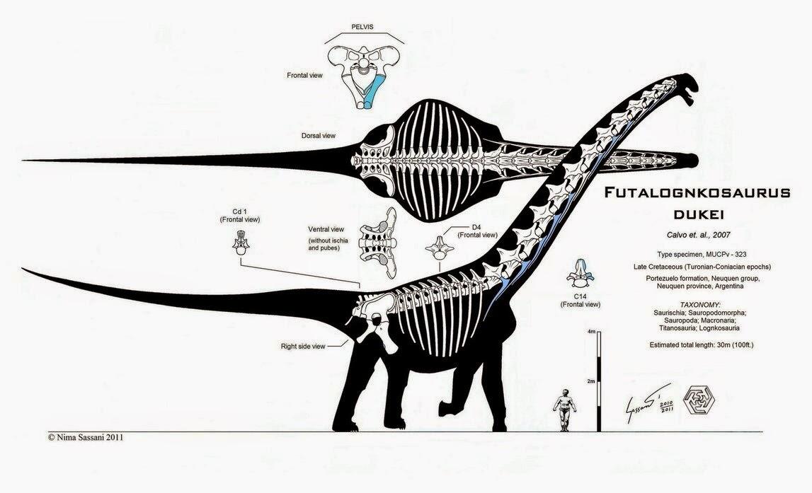 10 DINOSAURUS TERBESAR YANG PERNAH HIDUP DI BUMI