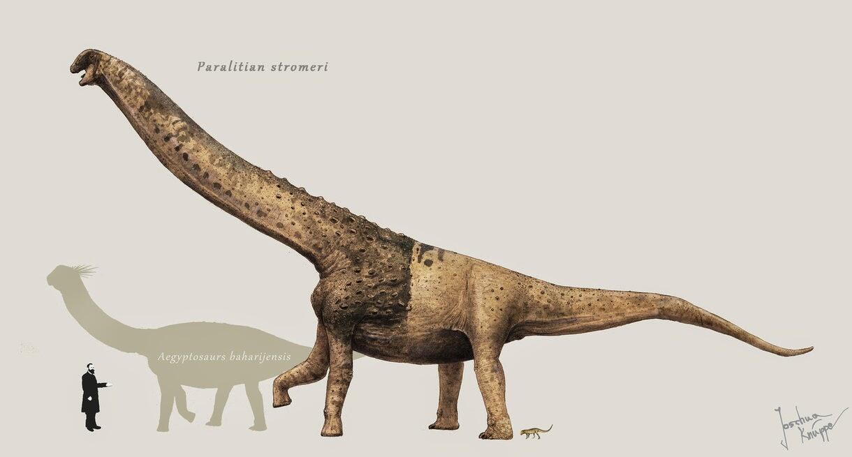 10 DINOSAURUS TERBESAR YANG PERNAH HIDUP DI BUMI
