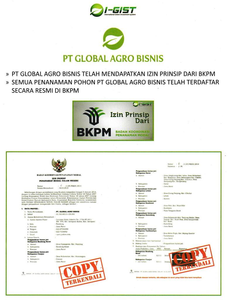Bisnis Pohon ANTI RUGI! Menguntungkan dan Menyelamatkan Bumi dengan GO GREEN! CEKIDOT