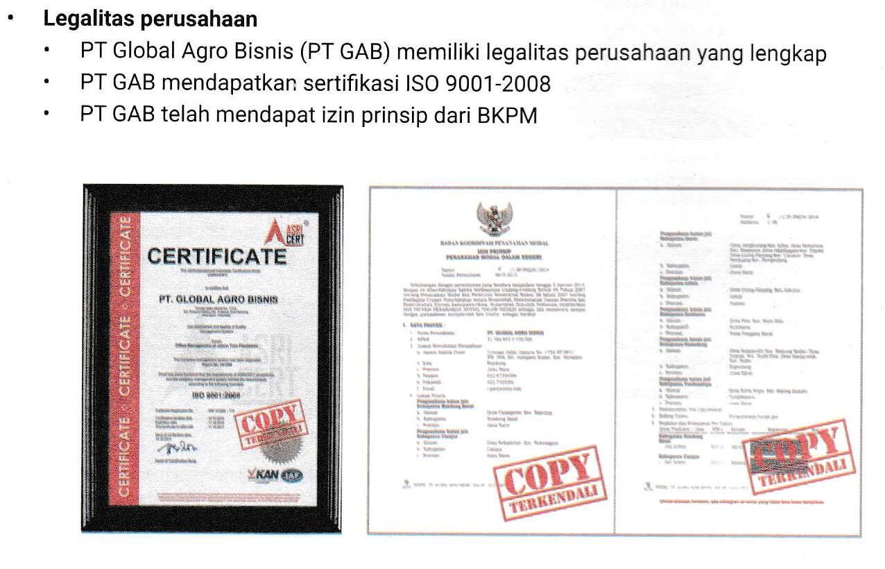 Bisnis Pohon ANTI RUGI! Menguntungkan dan Menyelamatkan Bumi dengan GO GREEN! CEKIDOT