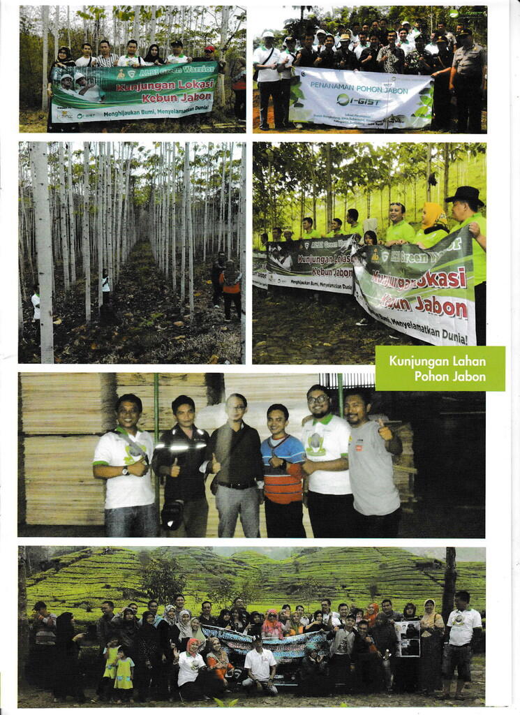 Bisnis Pohon ANTI RUGI! Menguntungkan dan Menyelamatkan Bumi dengan GO GREEN! CEKIDOT