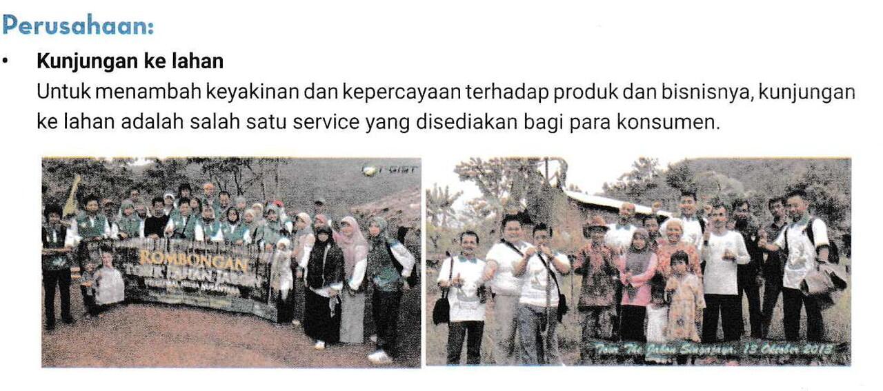 Bisnis Pohon ANTI RUGI! Menguntungkan dan Menyelamatkan Bumi dengan GO GREEN! CEKIDOT