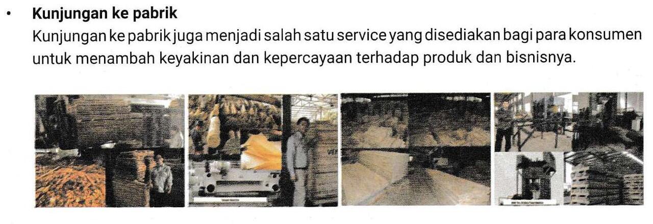 Bisnis Pohon ANTI RUGI! Menguntungkan dan Menyelamatkan Bumi dengan GO GREEN! CEKIDOT