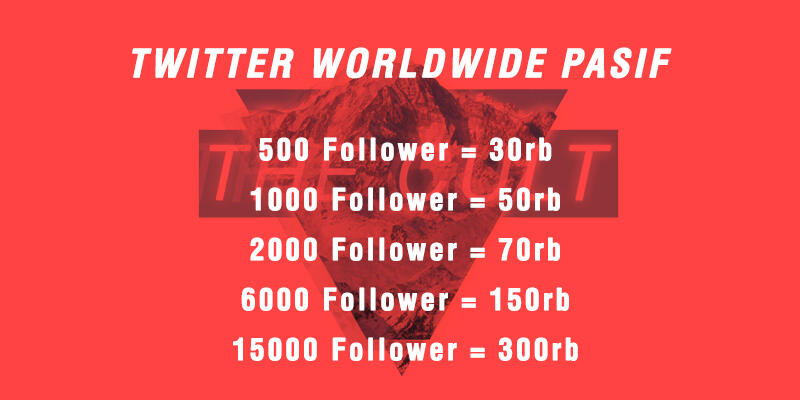THE CULT | Jasa Tambah Follower Twitter