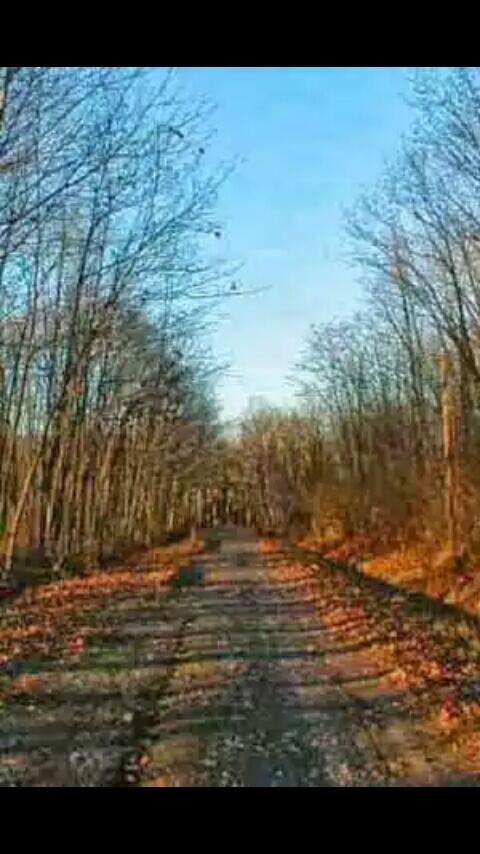 5 Jalan Berhantu Amerika Yang Paling Dihindari