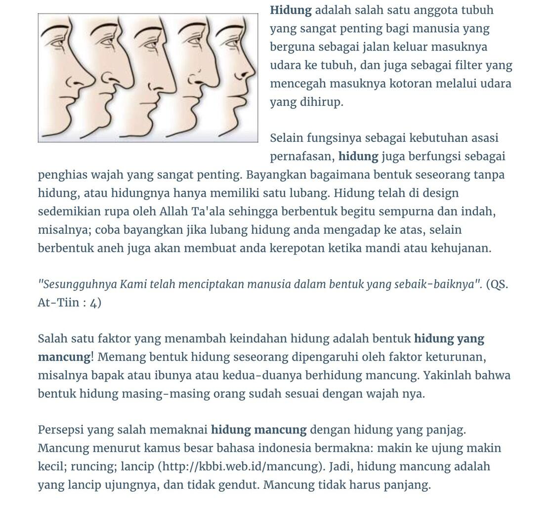 6 Rahasia Supaya Hidung Mancung (Dijamin)