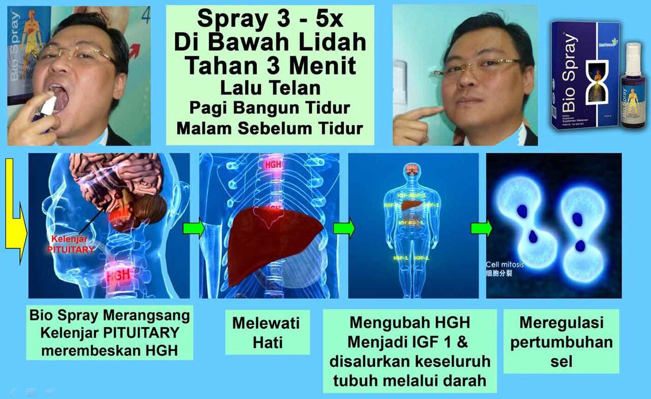 " PELUANG BISNIS MLM DENGAN PRODUK BERMUTU TINGGI "