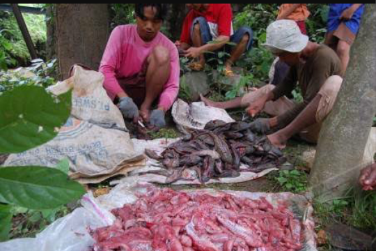 5 Jenis Makanan yang Sering Tertimpa Berita Miring