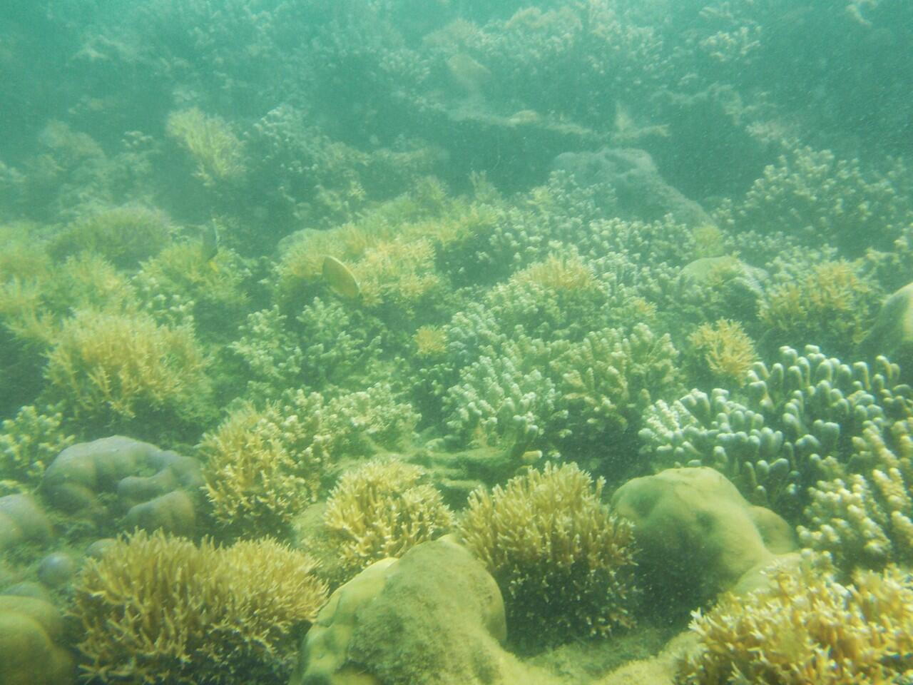 Menghilang Dalam Keindahan Gili Nanggu