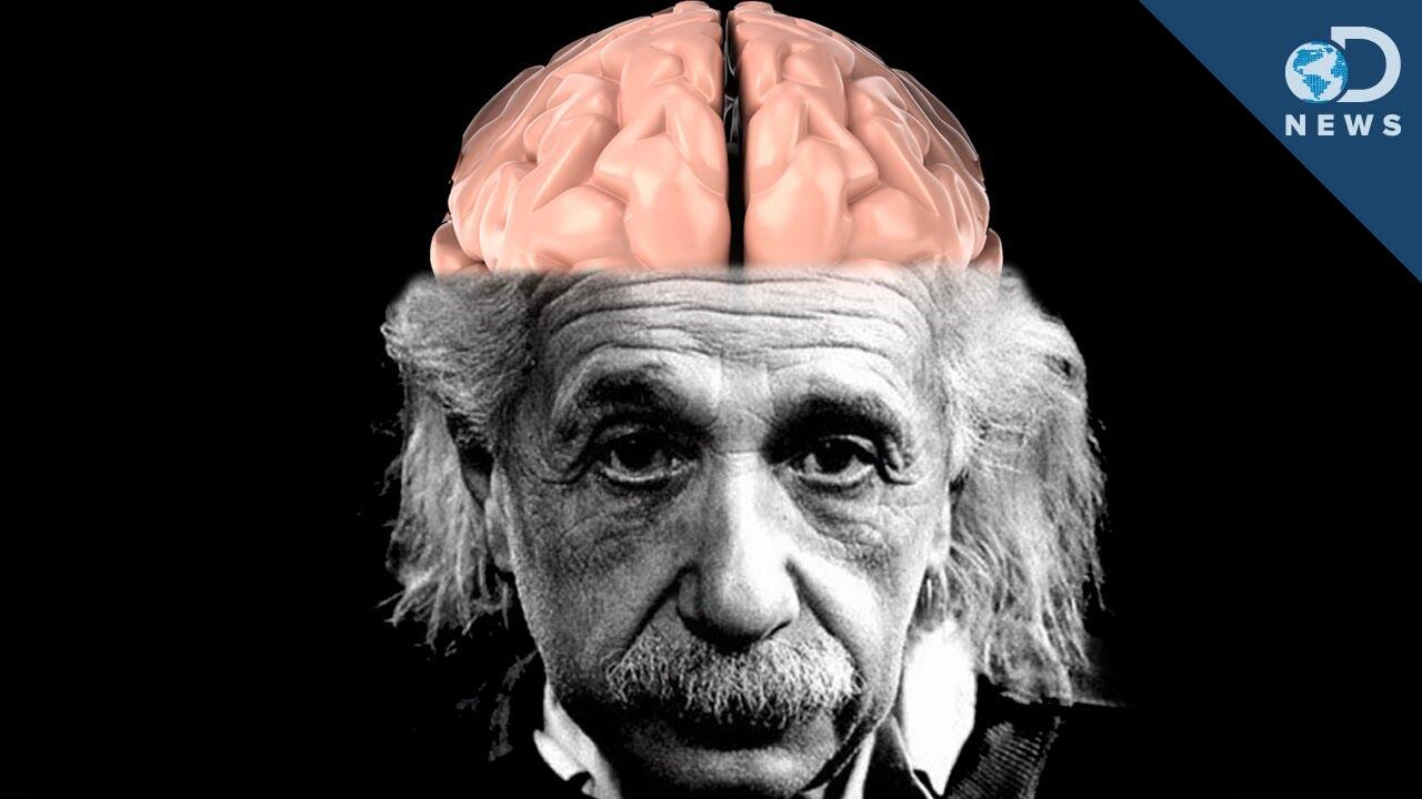 Ini Perbedaan otak Einstein dengan otaknya agans