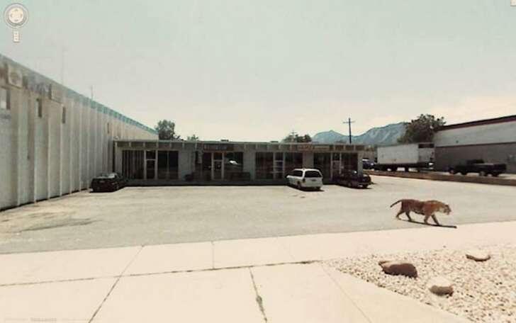 Gambar-Gambar Aneh Yang Tertangkap Oleh Google Street View